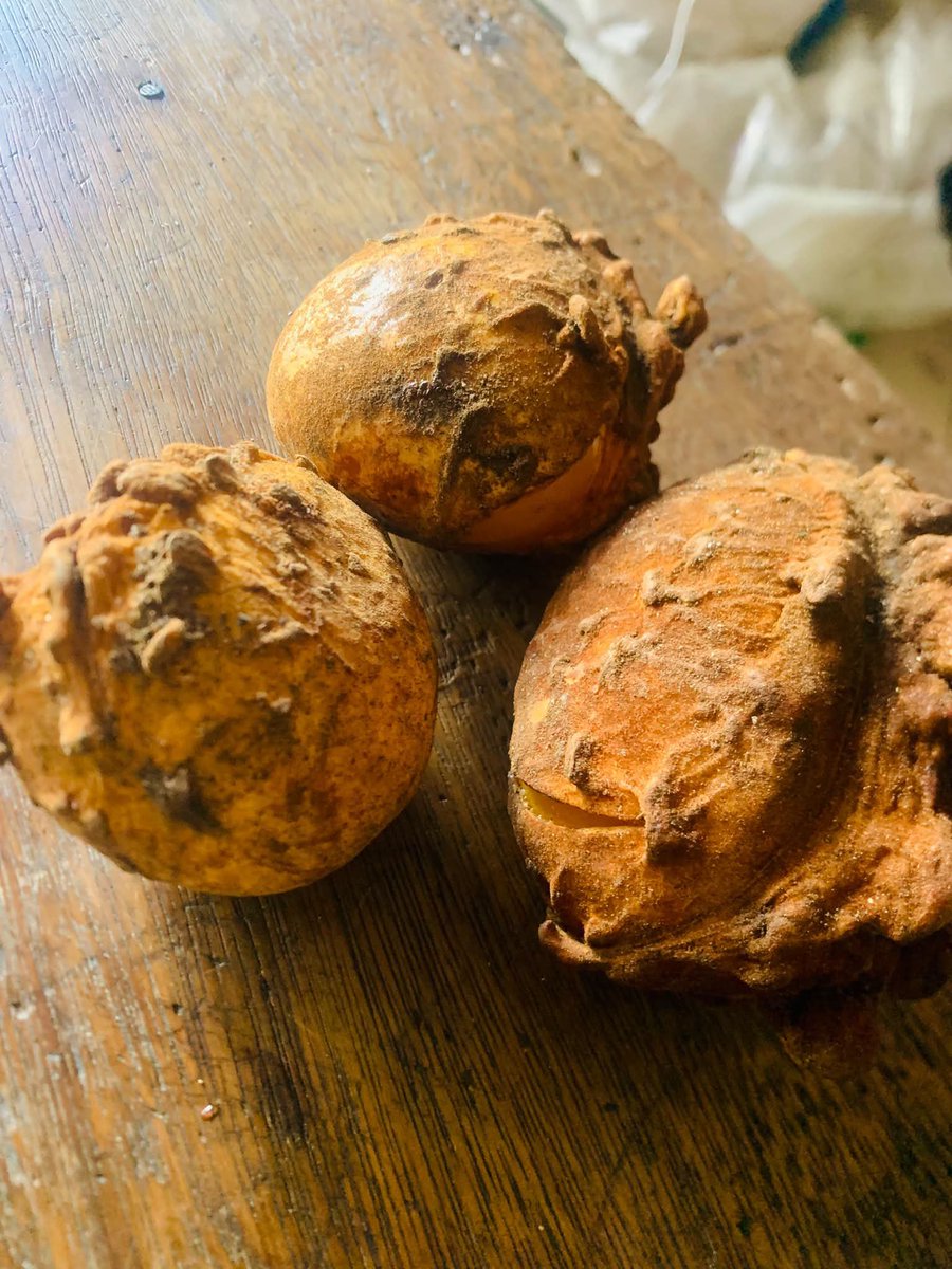 Kezmag_'s tweet photo. Umu Igbo, what is the name of this fruit in your local dialect?

I heard it's one of the best fruit ever but it's been neglected now. how truth is that?. https://t.co/uXGgLCQPUM