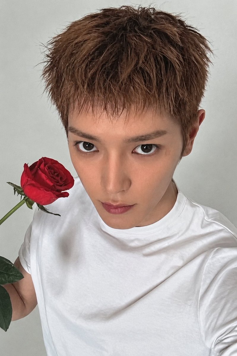 taeyongpictures's tweet photo. 🌹❤️ https://t.co/nzDSz9EF8N