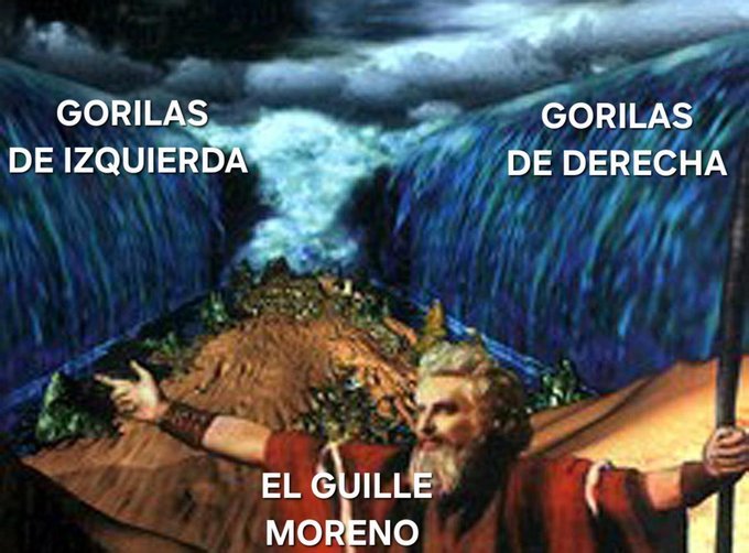 el_farmer1981's tweet photo. @fercarrodeguas https://t.co/MtyxvtzR16