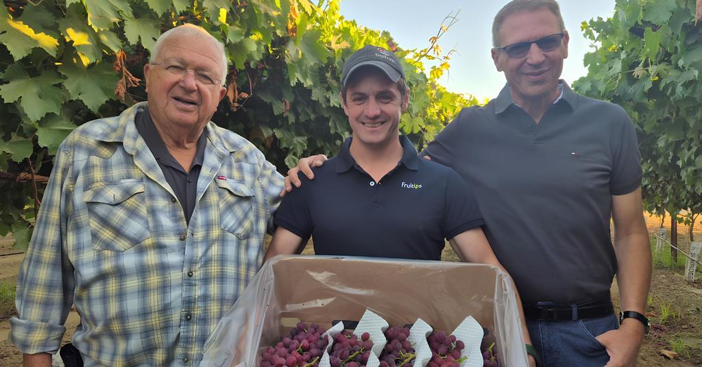 FPJlive's tweet photo. Meet Tiqi, the bold new table grape brand https://t.co/ngC8IYJN9I https://t.co/EjCJbuaa6e