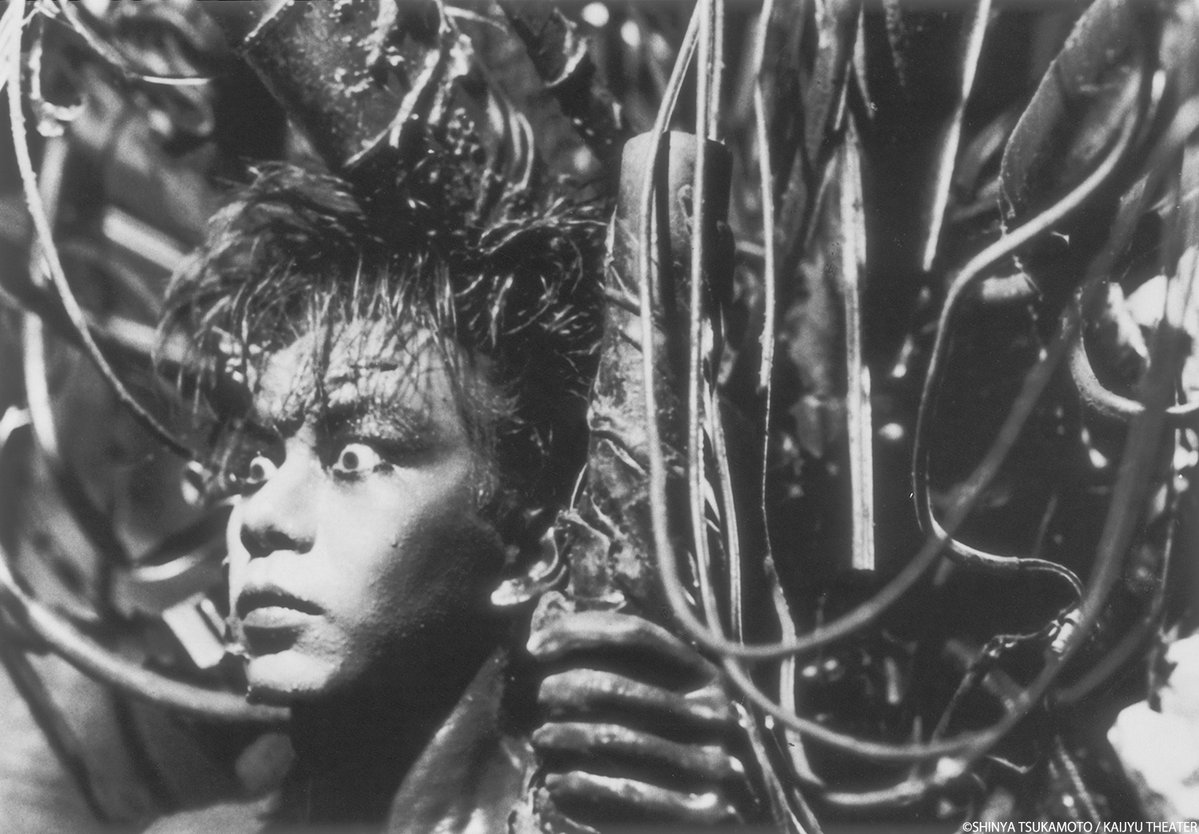 wasedashochiku's tweet photo. 【𝟵/𝟮𝟲㊏～𝟭𝟬/𝟮㊎上映作品】

『鉄男』(35mm)
監督：塚本晋也

頬にできた鉄のトゲから、肉体が鉄の細胞に侵蝕されていく男の爆裂劇を、メタリックな美術、音響と、機関銃のようなリズムのコマ撮りでパワフルに映像化。塚本晋也の名を世界に知らしめた衝撃のカルト・スタンダード！ https://t.co/zTRUNW5FP1