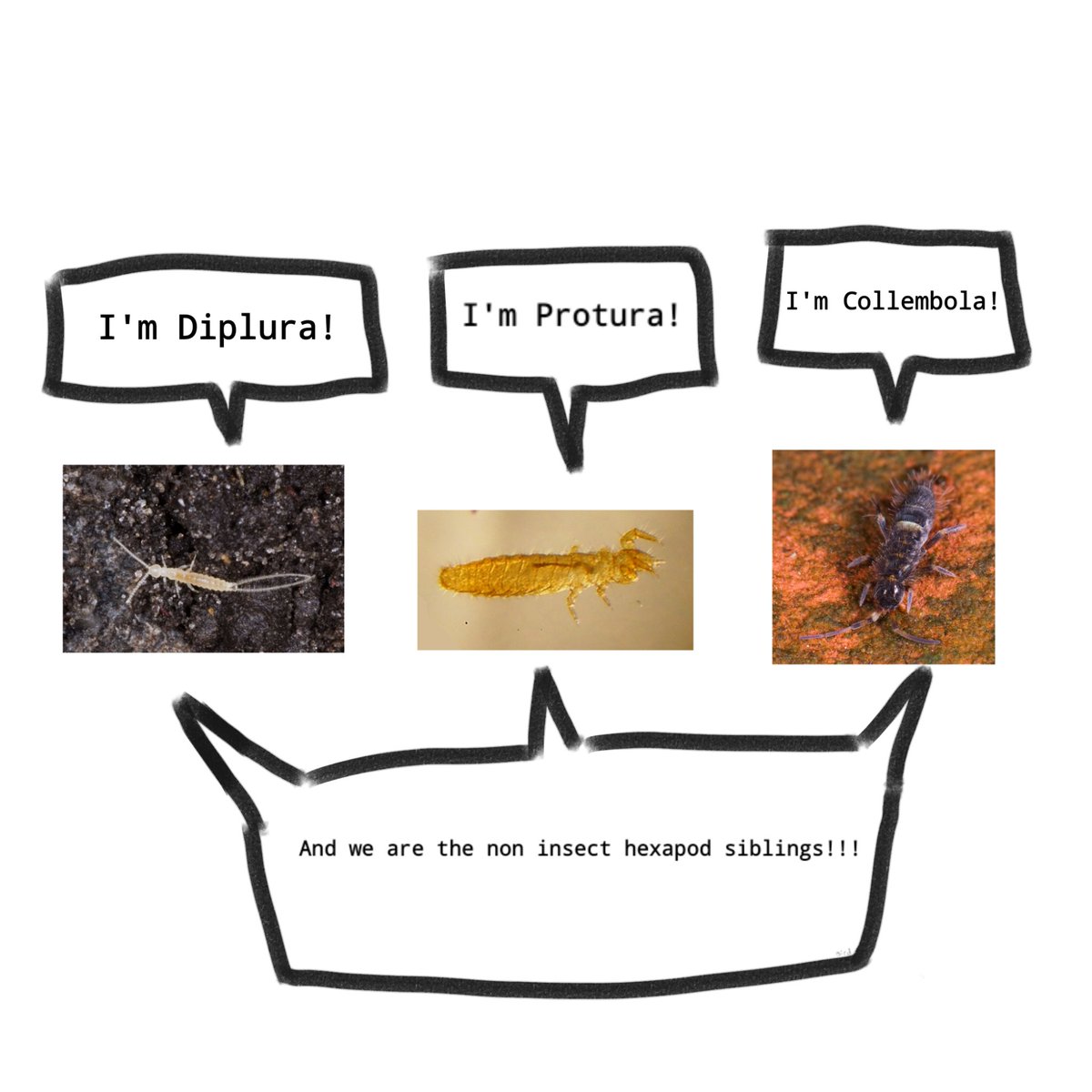 thatonecreatur's tweet photo. I made some bullshit whilst I was in class. https://t.co/khTtidh6l0