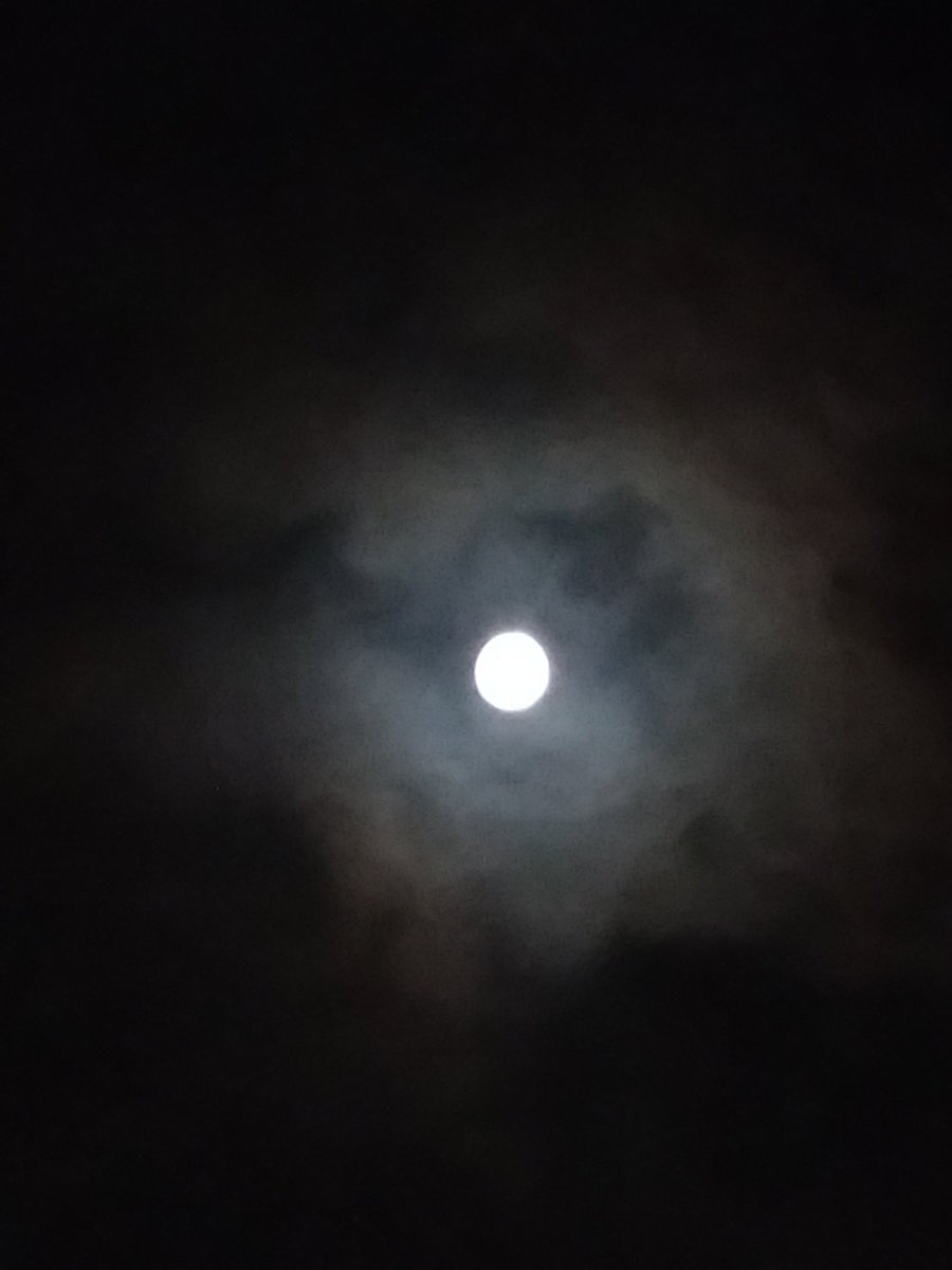 mako_chachacha's tweet photo. 雲の切れ間から☁
中秋の名月を拝めました🌝

ボロいスマホではこれが限界…😂

9:00pm in Tokyo https://t.co/K0Df6nDCg8