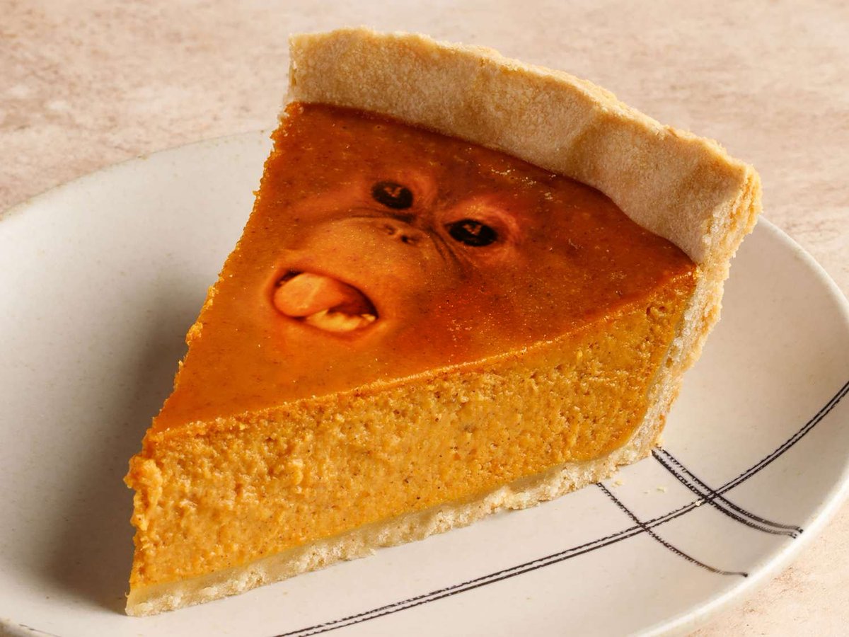 primateluvr's tweet photo. Would you take a bite? Be honest https://t.co/Oog3NGXrSe