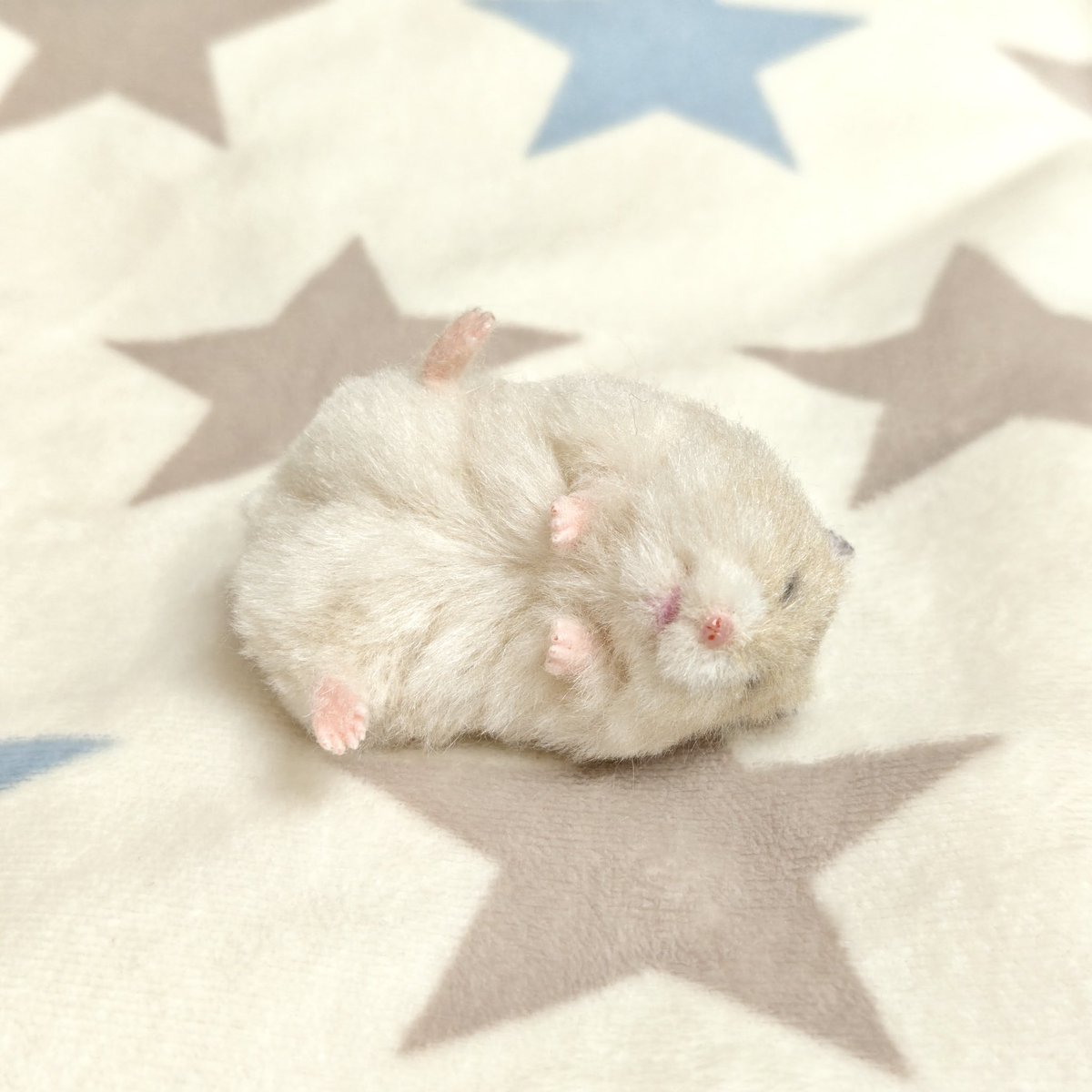 mof_fluffy's tweet photo. 販売は9月26日(土)21:30〜🐹✨️ https://t.co/qgsTb9Eij2