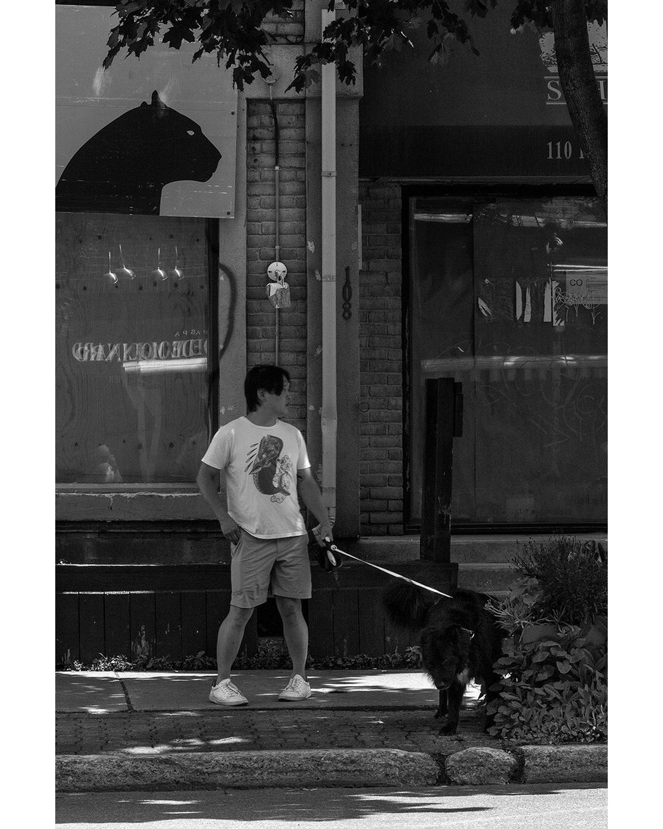 LouiseVerdone's tweet photo. Dog, whale and cat #Montreal #streetphoto📷😊
Chien, baleine et chat, scène de rue de #Montréal☮️👋
https://t.co/W57guoMijM🇨🇦
#streetphotography #urbanphotography #blackandwhitephotography #monochromephotography #Photography #BW_streetphotography #everybodystreet https://t.co/yBMLQBYgnC