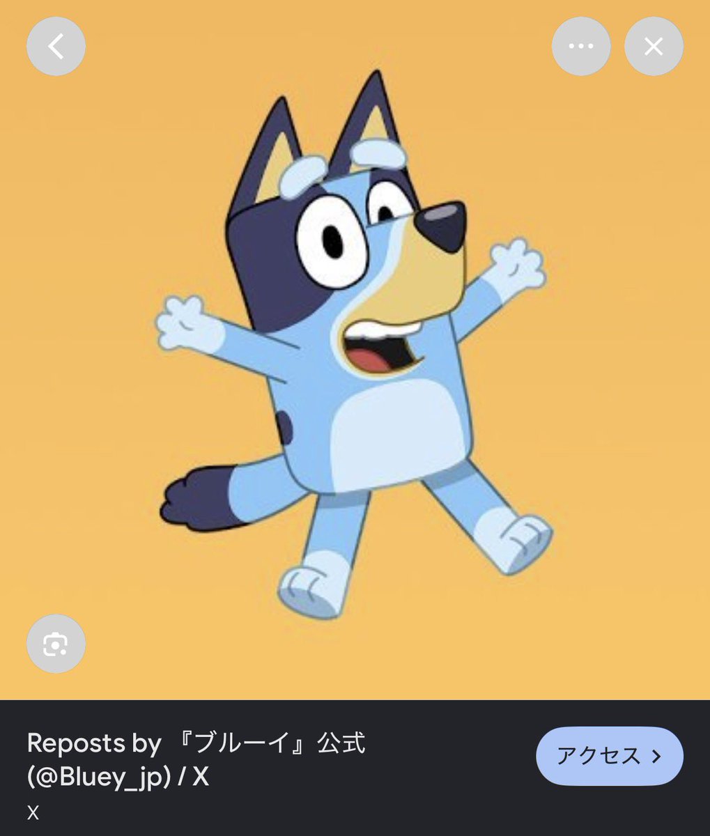 kei8638's tweet photo. はぁぁああああ！！！コレだ！この！これ！なるほど…オーストラリア原産のワンちゃんだったのか！そして、だから名前が『ブルーイ』なのか！
オーストラリアのアニメ、ブルーイ。
ドロシーちゃんを見た瞬間に全て繋がった。
ありがとうへちまこさん、ドロシーちゃん。
知見を得ました。 https://t.co/yDNE6pKK1L
