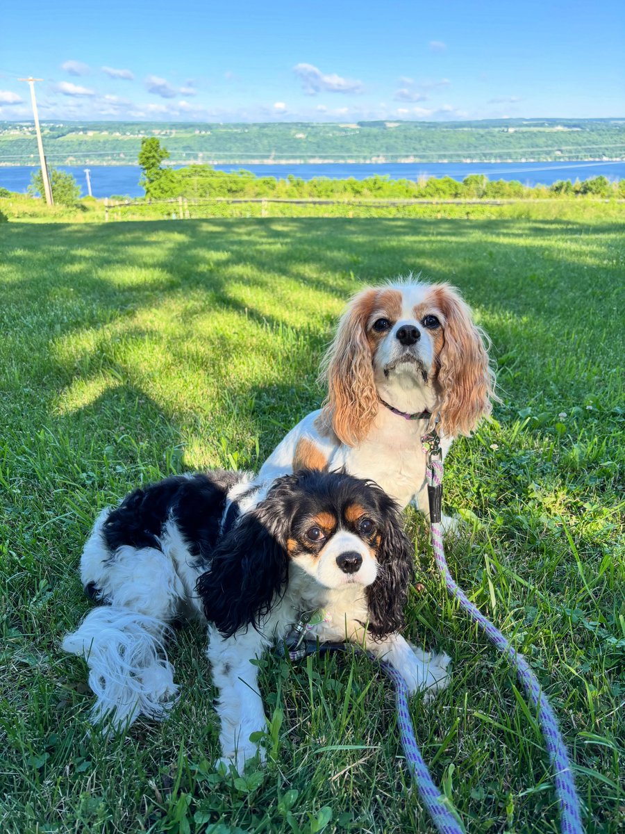 DannieSaltman's tweet photo. Just relaxing by the lake. https://t.co/Eck4CPCJ9E