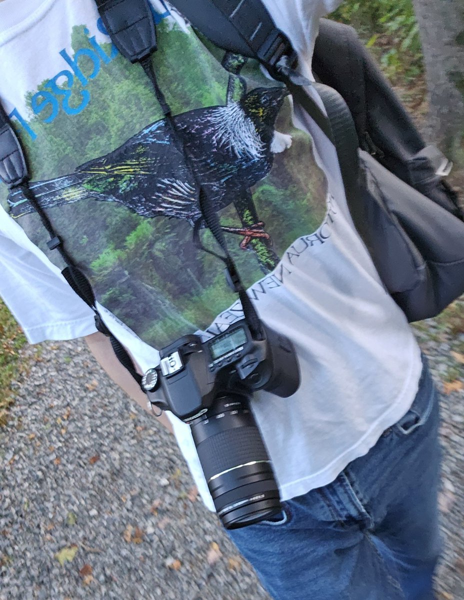 emovulture's tweet photo. normie fit to try and get a pic of the local kingfisher https://t.co/LLHHjgKWXL