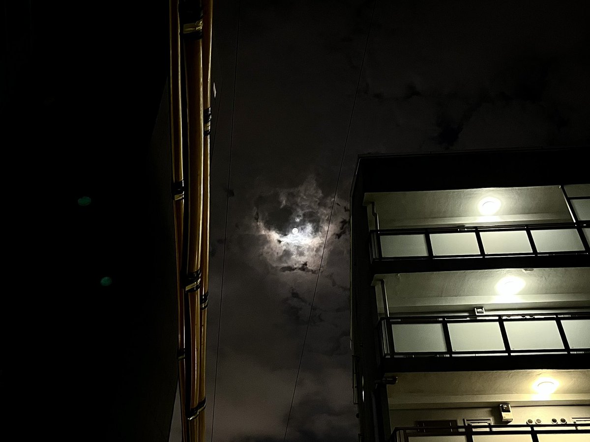 TOSHIMA_Daisuke's tweet photo. 趣というやつです🌝

#中秋の満月 #月 #満月 #Moon #Fullmoon https://t.co/YDWzbi1ZoX
