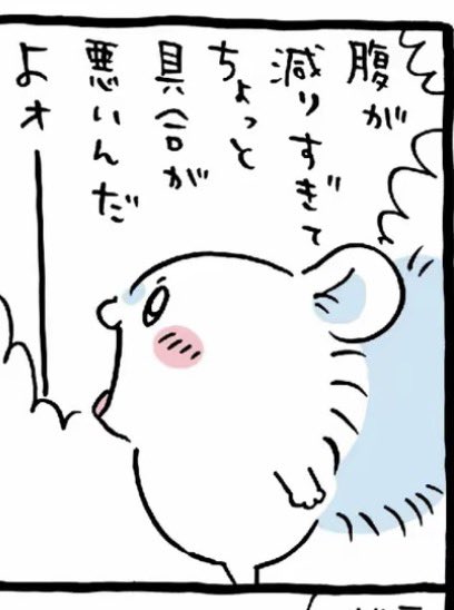 Sipisabup9's tweet photo. 完全一致 https://t.co/mDfTdPRjCP