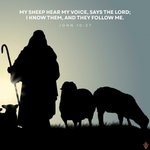 Photo by Diocese of Rochester (@RochDiocese)