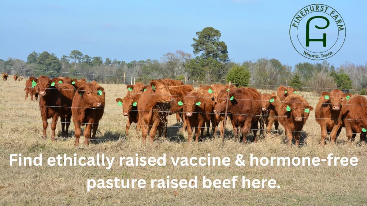 PinehurstFarm's tweet photo. Farm-to-Table Red Wagyu Beef.  https://t.co/Pk6q5hlRFF https://t.co/PJ9cmMf2HL