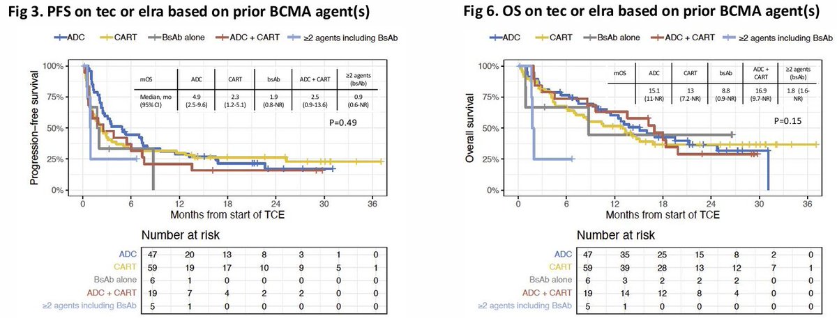 Multiple Myeloma Hub (@MM_Hub) — #IMS26 — conference slide