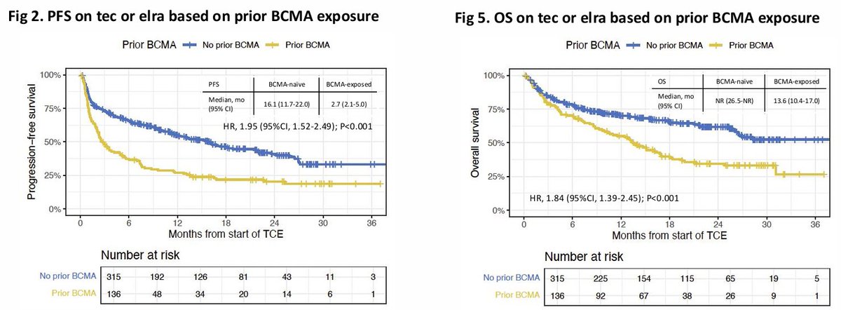 Multiple Myeloma Hub (@MM_Hub) — #IMS26 — conference slide
