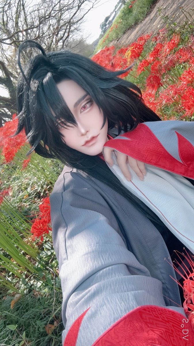 mitugu_'s tweet photo. 今日は満開の彼岸花と久しぶりの魔道祖師で夷陵老祖やってきましたー！ドンピシャタイミングに出来てよかった！
📸はみのじさん✌️
ウィッグも新調したんですがいっぱい褒めて貰えて満足😌✨✨
中華やっぱ、楽しいのでまだまだチマチマやりたいですね🥰新しい小さいイノチたちと🫶 https://t.co/KGbN0JSAk0