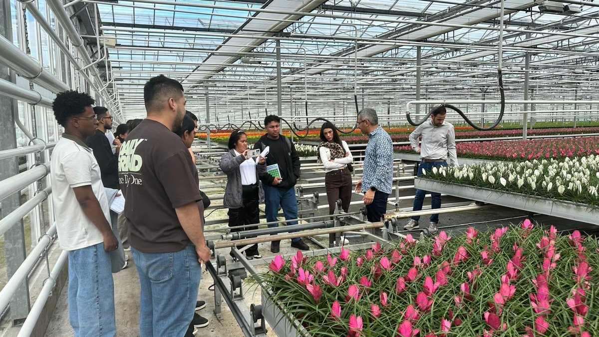 SENAComunica's tweet photo. Nuestros aprendices avanzan en el cumplimiento de su agenda en los Países Bajos 🇳🇱.

Durante la jornada, visitaron los invernaderos de Gemeente Westland y Dutch Greenhouse Delta, donde conocieron de cerca cómo funciona la producción hortícola neerlandesa.

También estuvieron en Koppert Biological Systems, referente en protección biológica de cultivos y polinización natural, para conocer soluciones que contribuyen a una producción más sostenible.

Una experiencia que les permite aprender, intercambiar conocimientos y llevar nuevas ideas para seguir fortaleciendo su formación.
#AliadosSENA