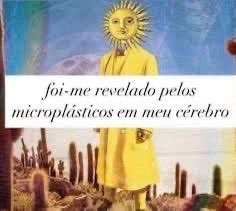 shitpostverdade's tweet photo. https://t.co/63b6UQ11Av
