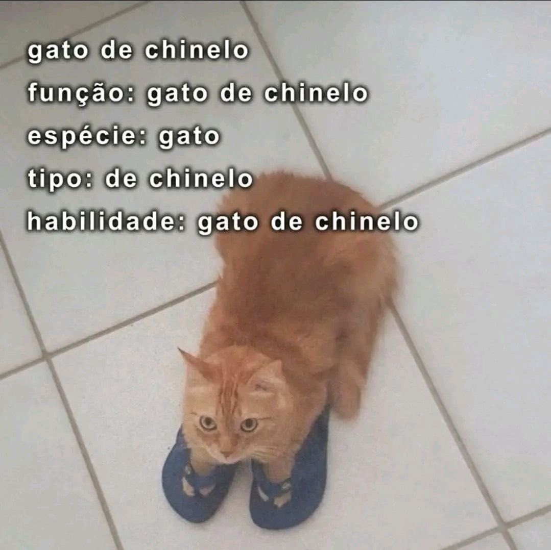 shitpostverdade's tweet photo. https://t.co/KR1c8tX8Jq