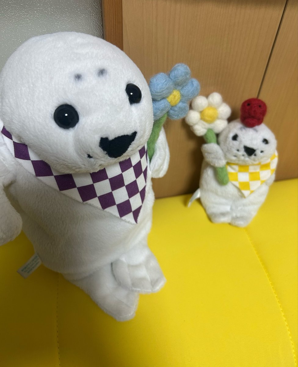 waccha_309's tweet photo. ものづくりが個人的にブームの時はぽんぽこ新作を作るのにブーム終えたらまるで作らない…😹これを繰り返し続けている
わっちゃの羊毛フェルト帽子作りにハマり、わっちゃの顔のぬいぐるみを作り
形から入るタイプなので材料だけは全て揃っているから久しぶりにまた作ろうかな🦭 https://t.co/Za8AvzDKHy