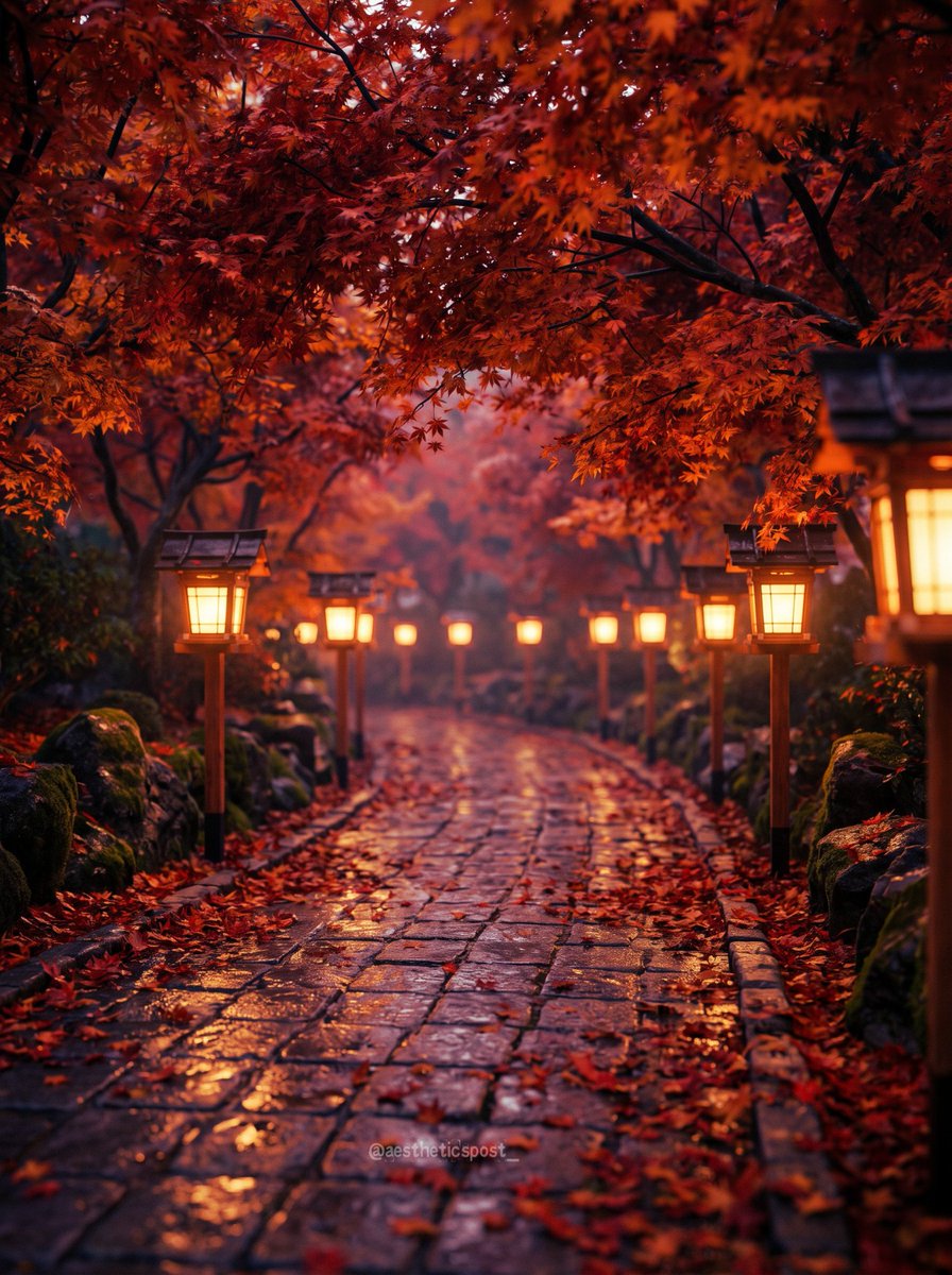 aestheticspost_'s tweet photo. https://t.co/72i30jch9Q