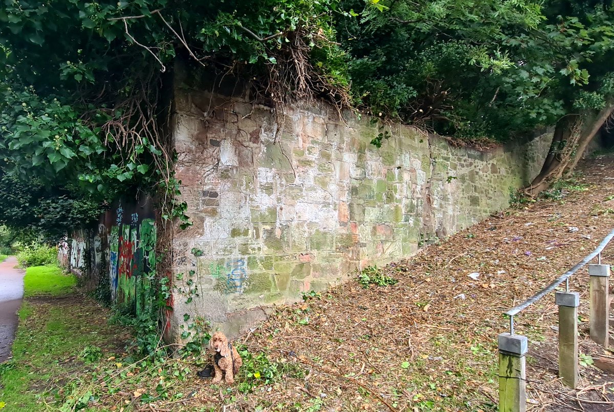 is_glasgow's tweet photo. This old wall on the banks of the Clyde in the East End of Glasgow might not look like much, but it's got a great story behind it, and its one that still has an impact to this day.
Cont./
#glasgow #glasgowhistory #harviesdyke #publicrightofway https://t.co/jVmwTMhqTW