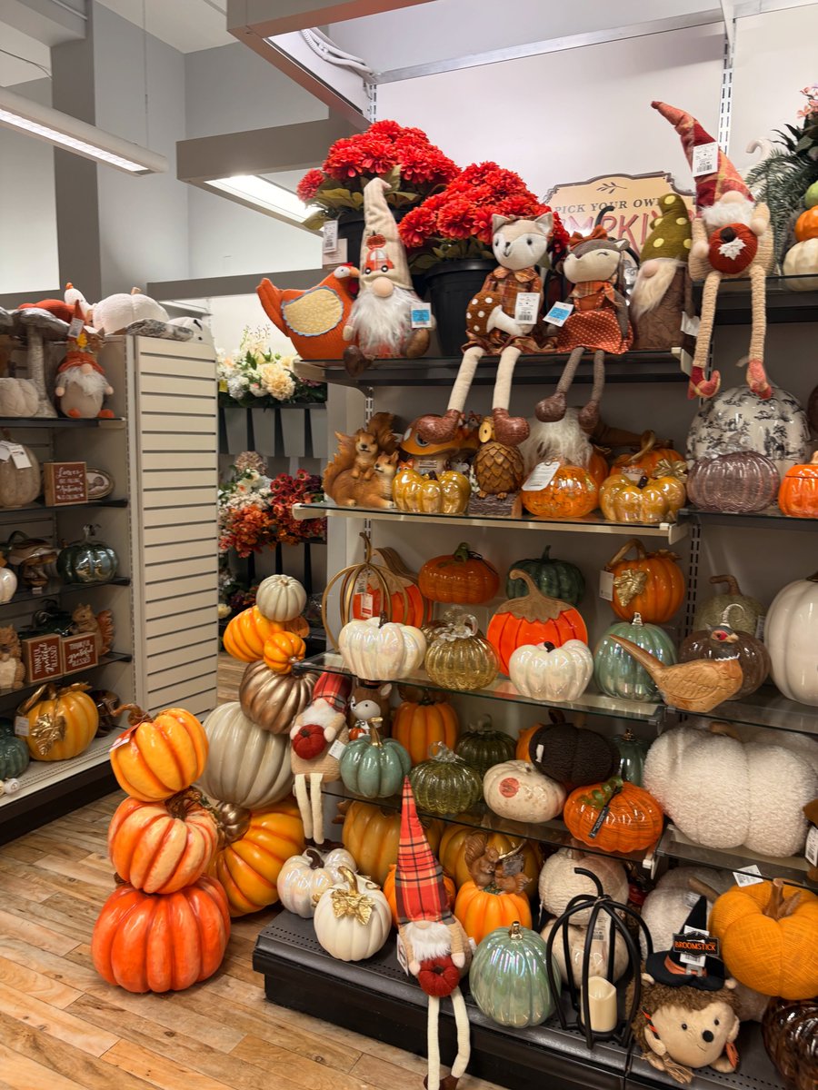 PrinceTodoxcxn's tweet photo. Fall is officially here—do you be-leaf it? My favourite season means cozy sweaters, pumpkin treats, colourful leaves, Gilmore Girls, and plenty of soup. What’s your favourite fall tradition? https://t.co/9giJ65F9yo