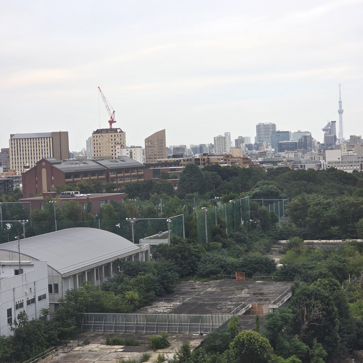 ratogin's tweet photo. 理工科から早稲田本部キャンパス、池袋、文京区・後楽園方面 https://t.co/ELei8cORsG
