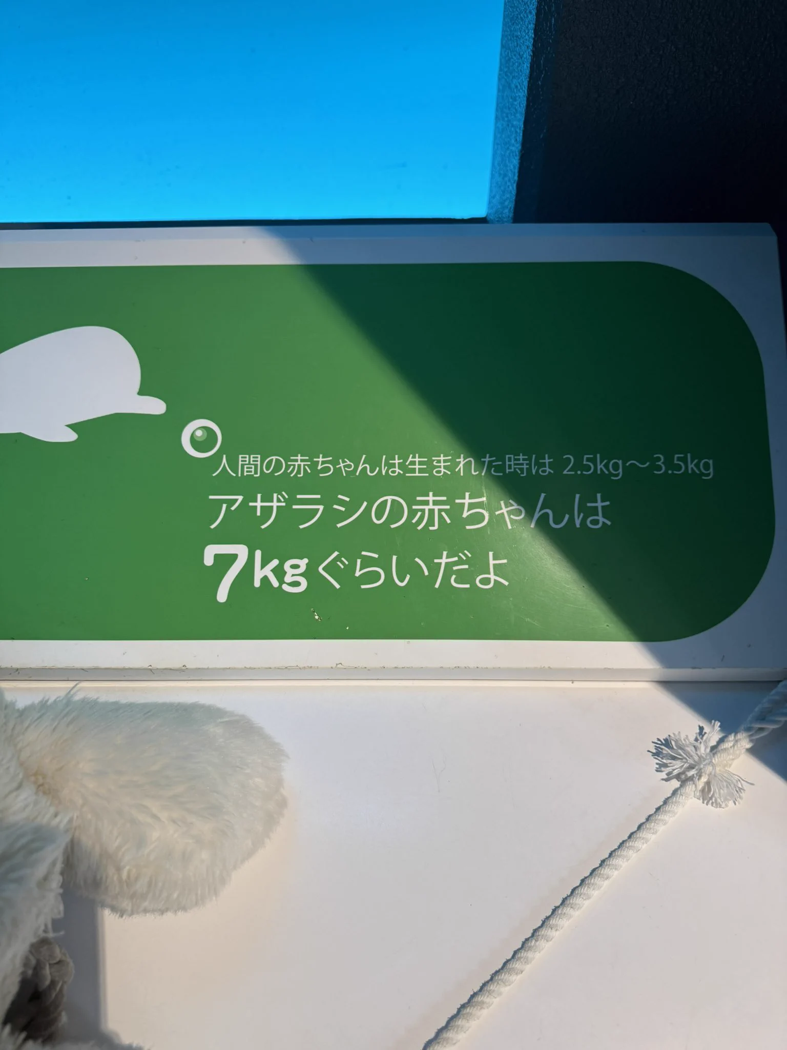 ごま半月 on X: 