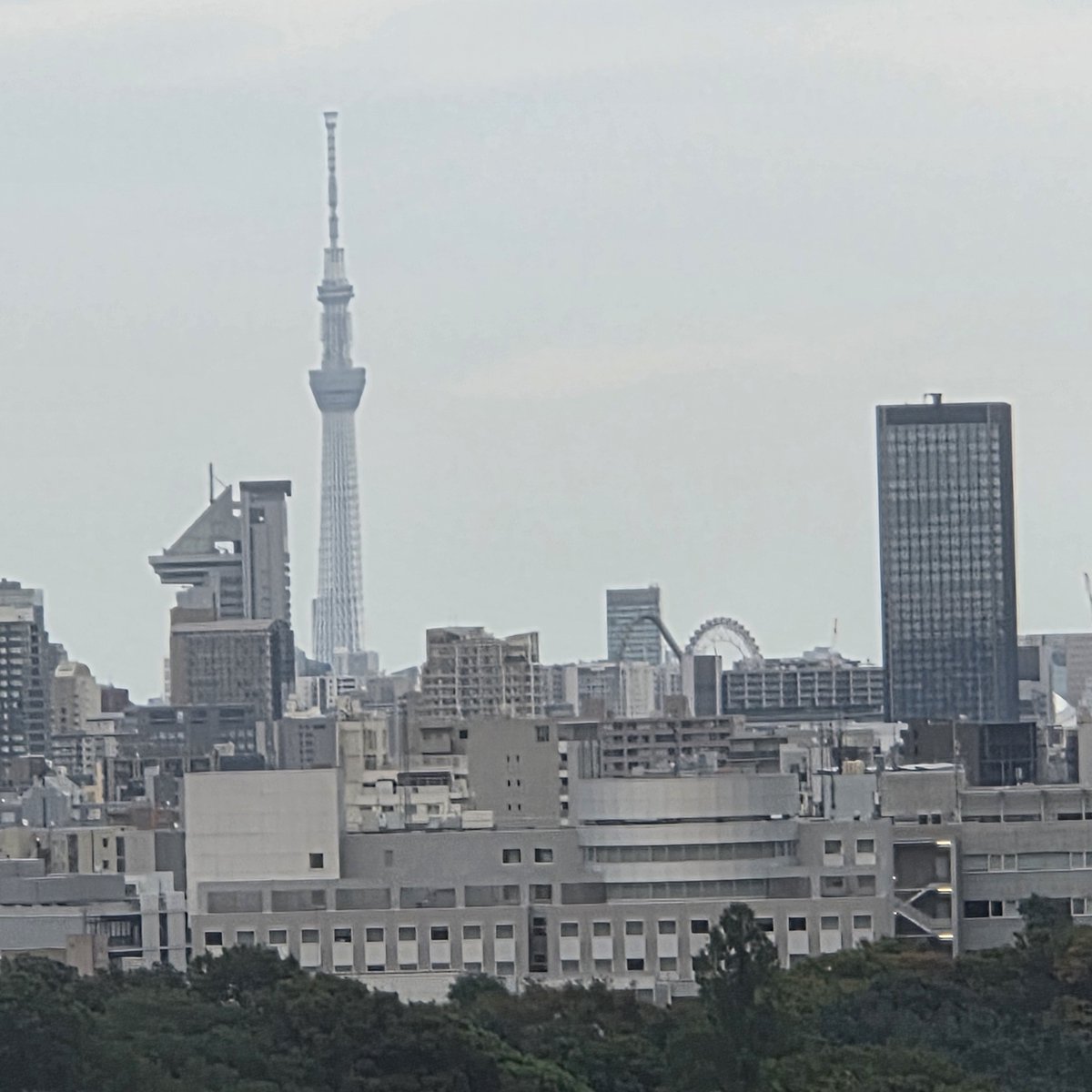 ratogin's tweet photo. 理工科から早稲田本部キャンパス、池袋、文京区・後楽園方面 https://t.co/ELei8cORsG