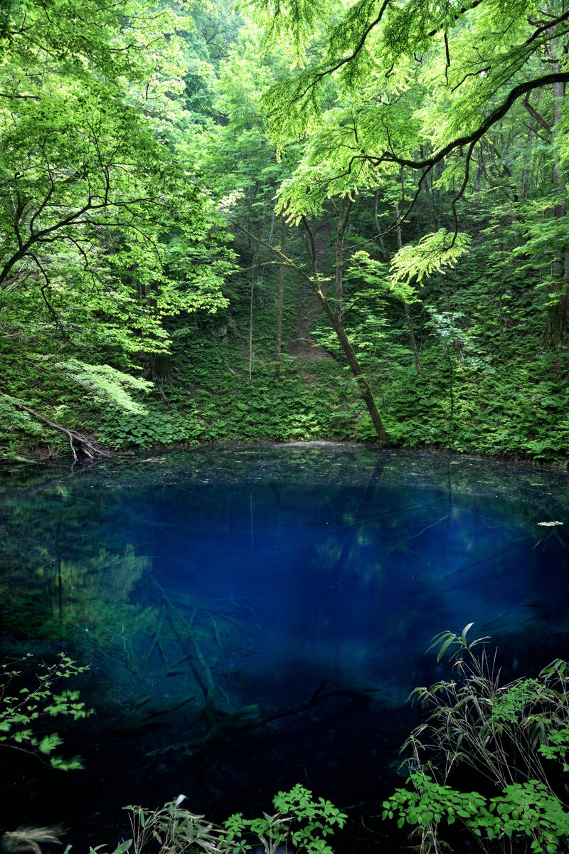 Kuroaomori's tweet photo. 「碧の故郷　青森県」

#写真好きな人と繋がりたい
#故郷自慢
#青森県 https://t.co/vrvRbuu2KW