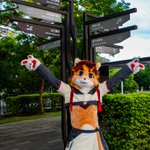 Photo by 索爾加難度(Thor Difficulty)➡️出毛！開台！工作！ (@ThorDifficulty)