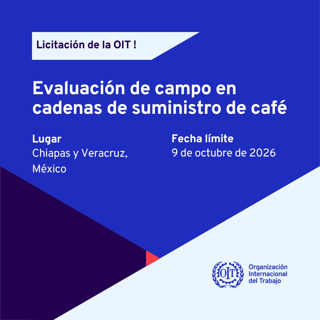 ILO_Childlabour's tweet photo. 📢 Licitación de la OIT | México

La @OITnoticias invita a organizaciones cualificadas a presentar ofertas para una evaluación de campo en cadenas de suministro de café en Chiapas y Veracruz (México), cosecha 2026–2027.

🗓️ Fecha límite: 9 de octubre de 2026

Más información 👇
https://t.co/BTjUubAky7