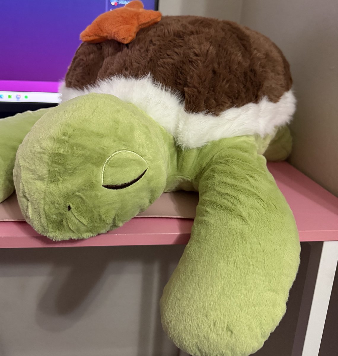 Iwriteheree's tweet photo. Got her a weighted turtle stuffie and my cologne to spray on it I love her so much she’s sending me cute photos with her new stuffie 🥰🤭 https://t.co/goRRDSNL1w