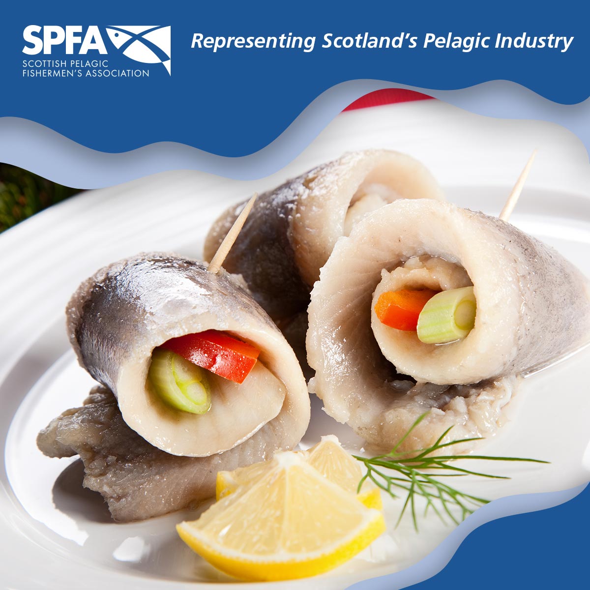 spfa_uk's tweet photo. Nutritional experts say we should all aim to eat two portions of fish per week, one of which should be an oil-rich fish such as herring or mackerel.
https://t.co/nUpiSkO1v8
#HealthyEating #HeartHealthy #Omega3Rich #EatMoreFish #My2aWeek https://t.co/ug49g7AX3M