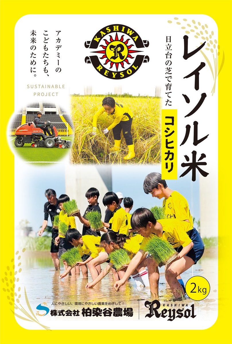 REYSOL_Official's tweet photo. 【10/3 G大阪戦】『レイソル秋のもぐもぐフェスタ』
地元産お米 "レイソル米"＆野菜 販売のお知らせ 
🔗https://t.co/uMzc5wnBrF

日立台の芝生を利用して生まれたお米『レイソル米』を、数量限定で販売します。同じく販売される地元産の野菜や食材を使用した加工食品など、これらの商品は、輸送距離を抑え環境負荷の低減にもつながる「地産地消」を実現したものです。新鮮で安心な旬の味覚をお楽しみください。

#柏レイソル #NoREYSOLNoLIFE