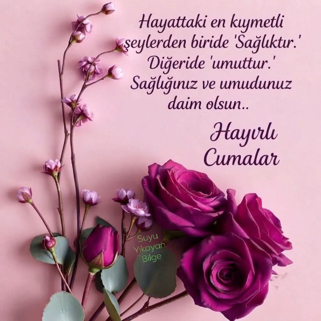 hatice_balci's tweet photo. https://t.co/LADdjRIPLw