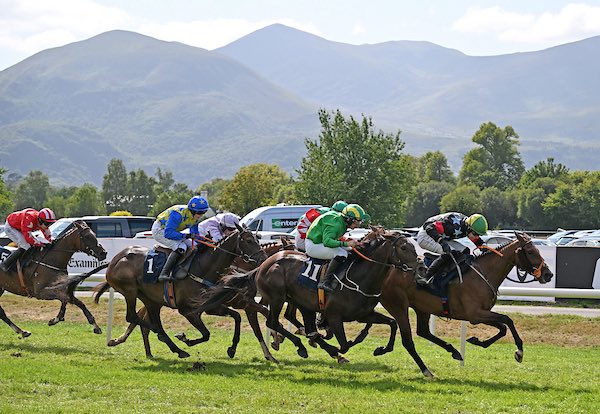 jhanlonracing's tweet photo. Three runners today at @ListowelRaces 

2:15 - Cornaroya Rocco (@georgiebenson18)
2:50 - Pahlavi (Harry Sexton)
4:00 - Pure Logic, pictured (Harry Sexton)

Best of luck to connections https://t.co/oJOvyZwWnJ