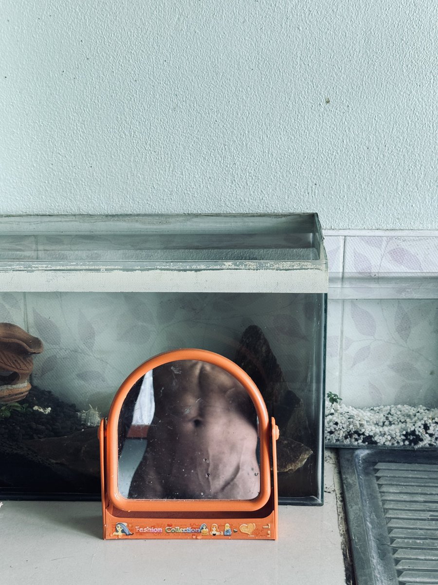 GOOGLE__2003's tweet photo. เลี้ยงปลาอะไรดี🐠 https://t.co/jmlzeYYScn