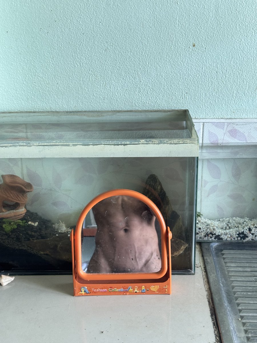 GOOGLE__2003's tweet photo. เลี้ยงปลาอะไรดี🐠 https://t.co/jmlzeYYScn