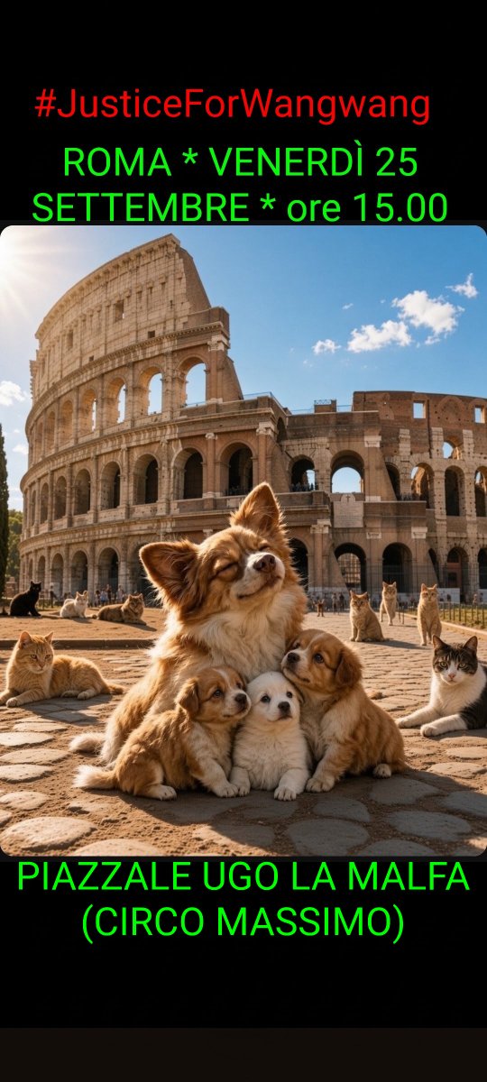 Castalia68's tweet photo. WANGWANG  FAMILY  ***  l' ITALIA per WANGWANG  ***  ULTIMA CHIAMATA  !!!  ***  MILANO, ORE 11.30, CONSOLATO GENERALE CINESE, VIA BENACO 4 * ROMA, ORE 15.00, PIAZZALE UGO LA MALFA (CIRCO MASSIMO) https://t.co/KtQDjQsmiU