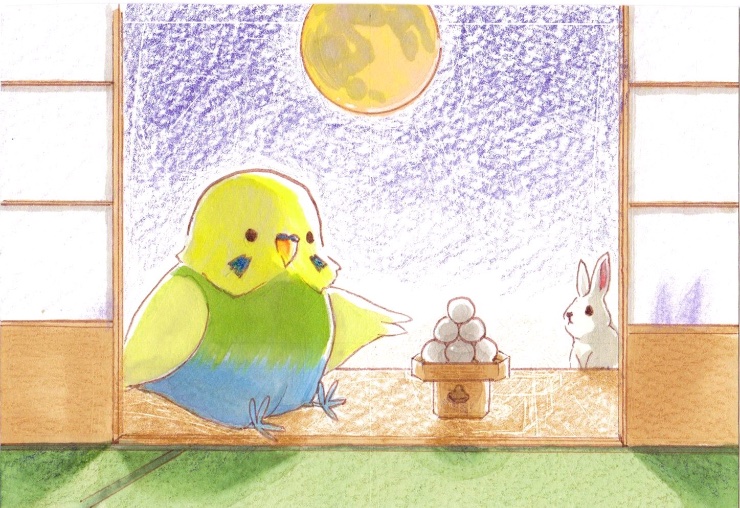 Rin_chan_piyo1's tweet photo. 中秋の名月だよ〜🐰

お月様見えるかな…🎑 https://t.co/KADddVVclt