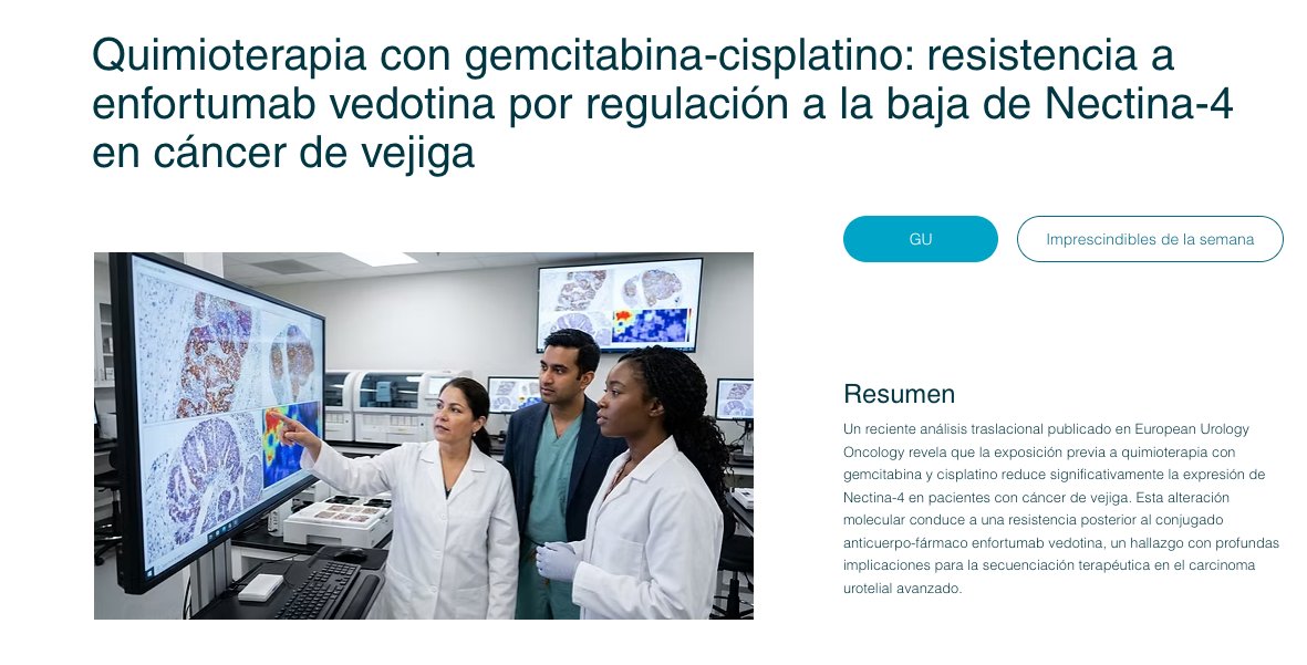 OncobitesTv's tweet photo. 🧬 #CáncerDeVejiga avanzado: impacto de la quimioterapia en nuevas terapias.

Un reciente estudio publicado en European Urology Oncology revela que el tratamiento previo con gemcitabina-cisplatino (GC) altera el panorama molecular del tumor:
✔️ Induce una reducción estadísticamente significativa de la expresión de Nectina-4.
✔️ Confiere marcada resistencia clínica a enfortumab vedotina (EV), resultando en una menor tasa de respuesta (ORR) y peor supervivencia (PFS).

💡 Hallazgos que plantean la necesidad de reevaluar sistemáticamente la expresión de Nectina-4 mediante nuevas biopsias antes de prescribir EV, optimizando la secuenciación y evitando toxicidades innecesarias.

🚀 Un paso clave hacia una verdadera medicina de precisión. Más detalles aquí 👉 https://t.co/ImdIKmfWjS

#Oncología #GU #CáncerDeVejiga #EnfortumabVedotina #MedicinaDePrecisión #OncoBites