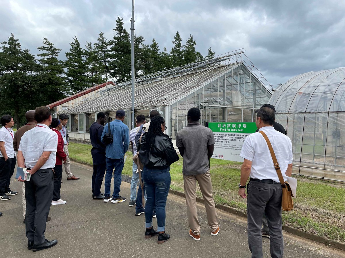 JICATBIC's tweet photo. アジア、アフリカの研究者が日本の植物品種保護制度、品種登録審査について学びました
Researchers from Asia and Africa learned about PVP system and examination of new plant varieties registration in Japan
#rice #pvp #MAFF #NARO #kccp #jicatsukuba #JICA筑波 #稲作 #農林水産省 https://t.co/LcZn5hGMIV