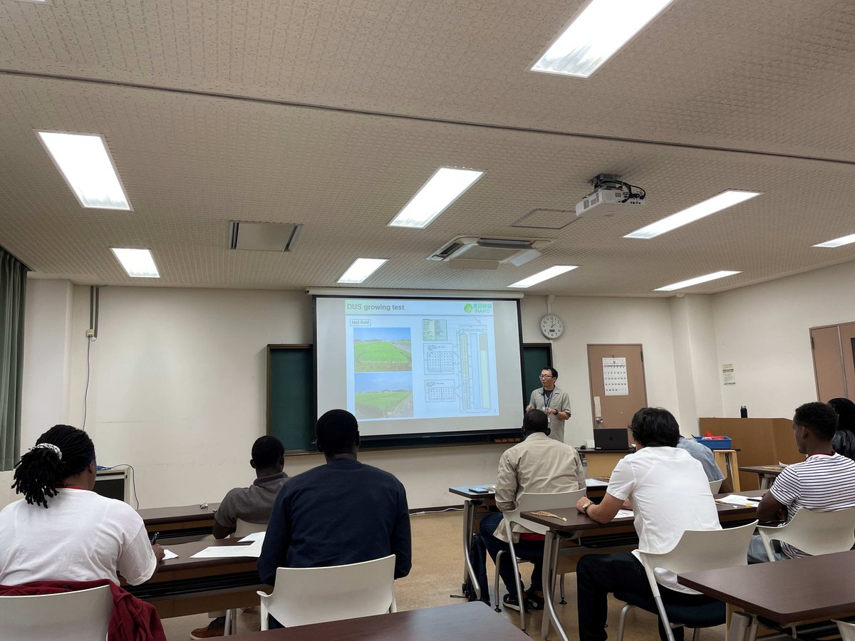 JICATBIC's tweet photo. アジア、アフリカの研究者が日本の植物品種保護制度、品種登録審査について学びました
Researchers from Asia and Africa learned about PVP system and examination of new plant varieties registration in Japan
#rice #pvp #MAFF #NARO #kccp #jicatsukuba #JICA筑波 #稲作 #農林水産省 https://t.co/LcZn5hGMIV