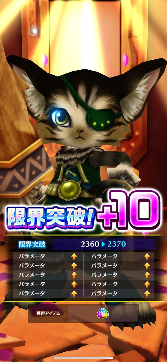 silverbabacat's tweet photo. 今日の広告ガチャは
オール猫軍団😻

#白猫プロジェクト https://t.co/81NHHY5FUW