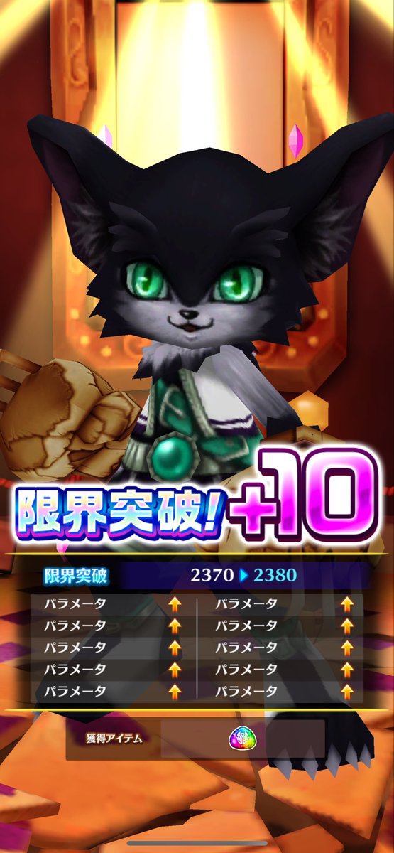 silverbabacat's tweet photo. 今日の広告ガチャは
オール猫軍団😻

#白猫プロジェクト https://t.co/81NHHY5FUW