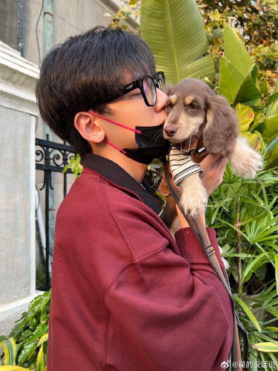 kellyali679771's tweet photo. My pup just curled up in my lap with a tattered toy—this quiet, snuggly Tuesday is exactly the pick-me-up I needed https://t.co/OirNGPOK2U