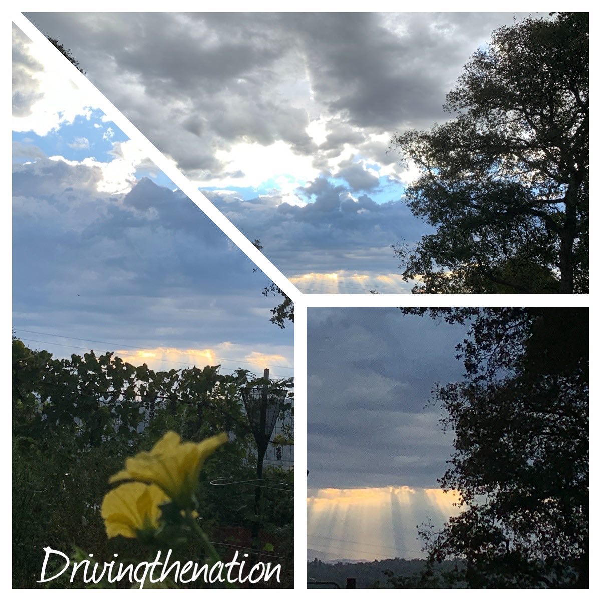 YungAltimus's tweet photo. Heaven opened over California this morning. The rain will help with the Dixie, Caldor, and Bridge fires and cool the earth down. Beautiful sunrise. https://t.co/Tj0qYYx03m