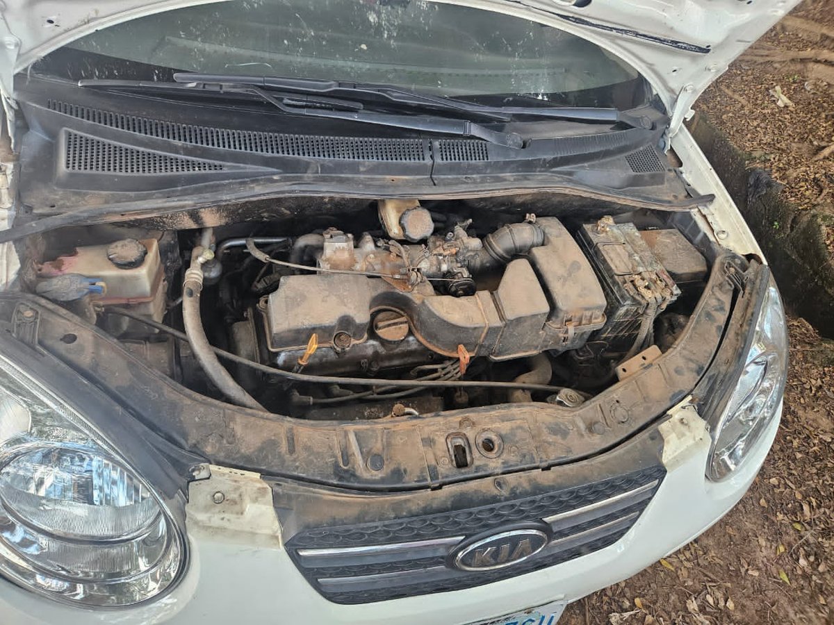 FRIDAYYv9's tweet photo. Distress Kia PICANTO 2009 Model Available for Urgent pick up Engine and gear is Untampared Ac Chilling perfectly going for 3.2M
Location Nyanya Abuja
Note Buyer to Settle Sambo 150k https://t.co/Z2adbnvHnQ